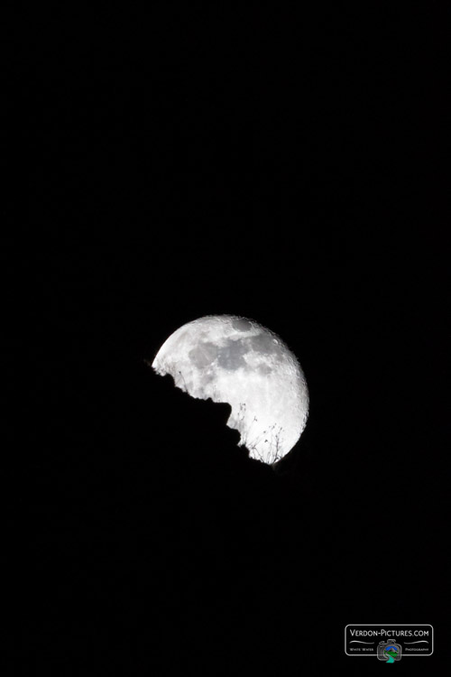 photo silhouette de visage sur la lune
